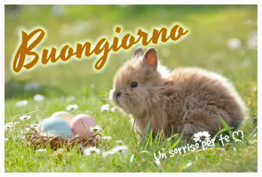 Buongiorno: immagini e frasi per augurare una buonissima giornata