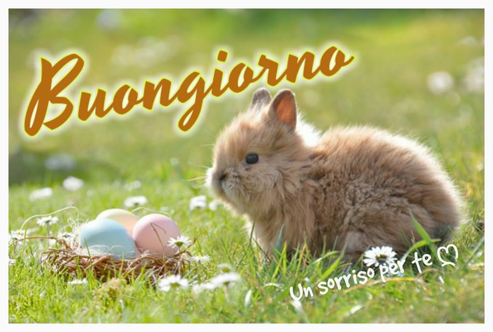 Buongiorno: immagini e frasi per augurare una buonissima giornata