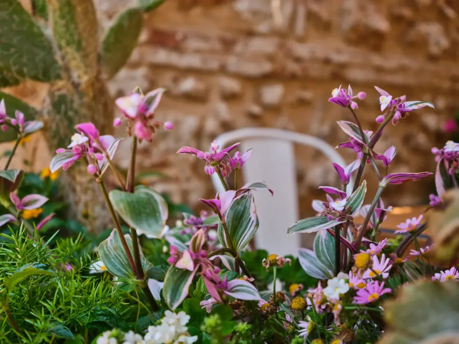 Sistemare il giardino casa: trucchi senza grandi lavori