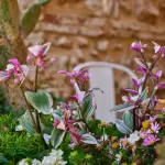 Sistemare il giardino casa: trucchi senza grandi lavori