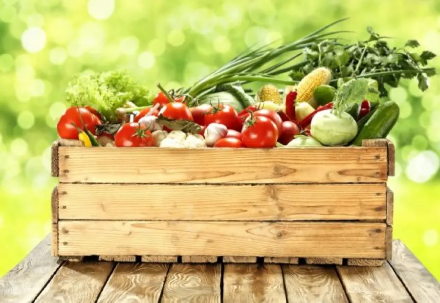 Come dimagrire, consigli alimentari per perdere kg di troppo