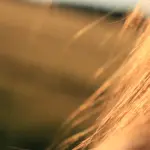 Colori tinture capelli autunno 2026