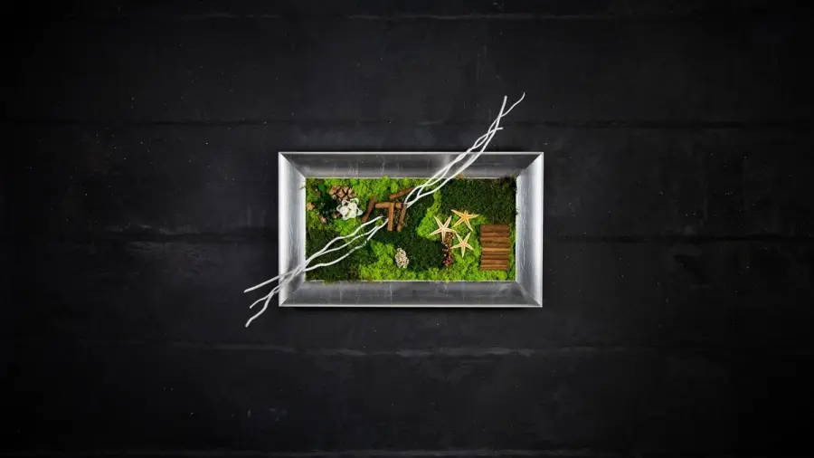 Quadri vegetali stabilizzati: la natura che arreda i tuoi ambienti