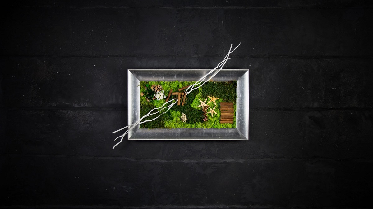 Quadri vegetali stabilizzati: la natura che arreda i tuoi ambienti