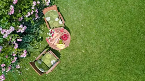 Come rendere innovativo il tuo giardino