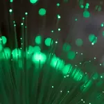 Rispettare l'ambiente con le piccole azioni quotidiane