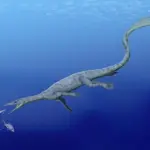 Notosauri: Cosa sono e quali sono le loro caratteristiche