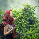 8 Marzo 2019, le donne guidano 1 impresa agricola su 4