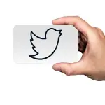 Social Twitter cancella oltre 10 mila account, boicottavano voto 6 novembre