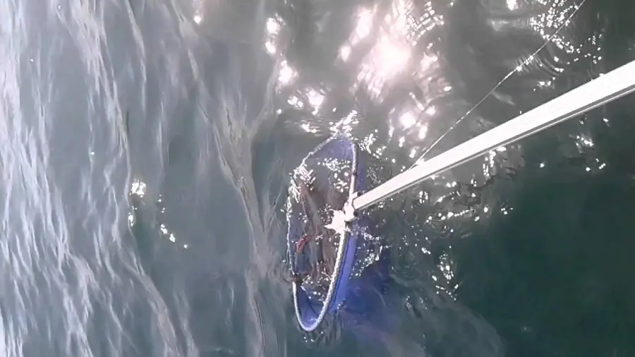 Come funziona la pesca del polpo