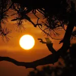 App Caldo e Salute, previsione ondate di calore direttamente sul telefonino