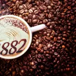 Caffè in capsule ecologiche: differenza tra riutilizzabili e compostabili