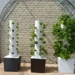 EcoFuturo 2018, a Padova Festival ecotecnologie ed autocostruzione