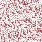 Documenti in pdf, formato Adobe Systems compie 25 anni