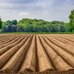 Campagne hi-tech, imprese giovani e innovative protagoniste a Milano