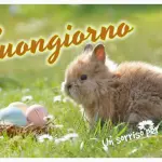 Buongiorno: immagini e frasi per augurare una buonissima giornata