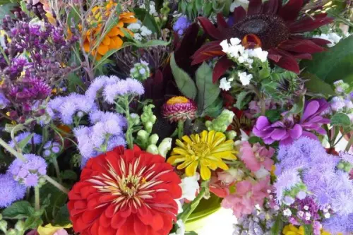 Fiori di bach, metodi di preparazione e l'estratto universale