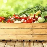 Come dimagrire, consigli alimentari per perdere kg di troppo